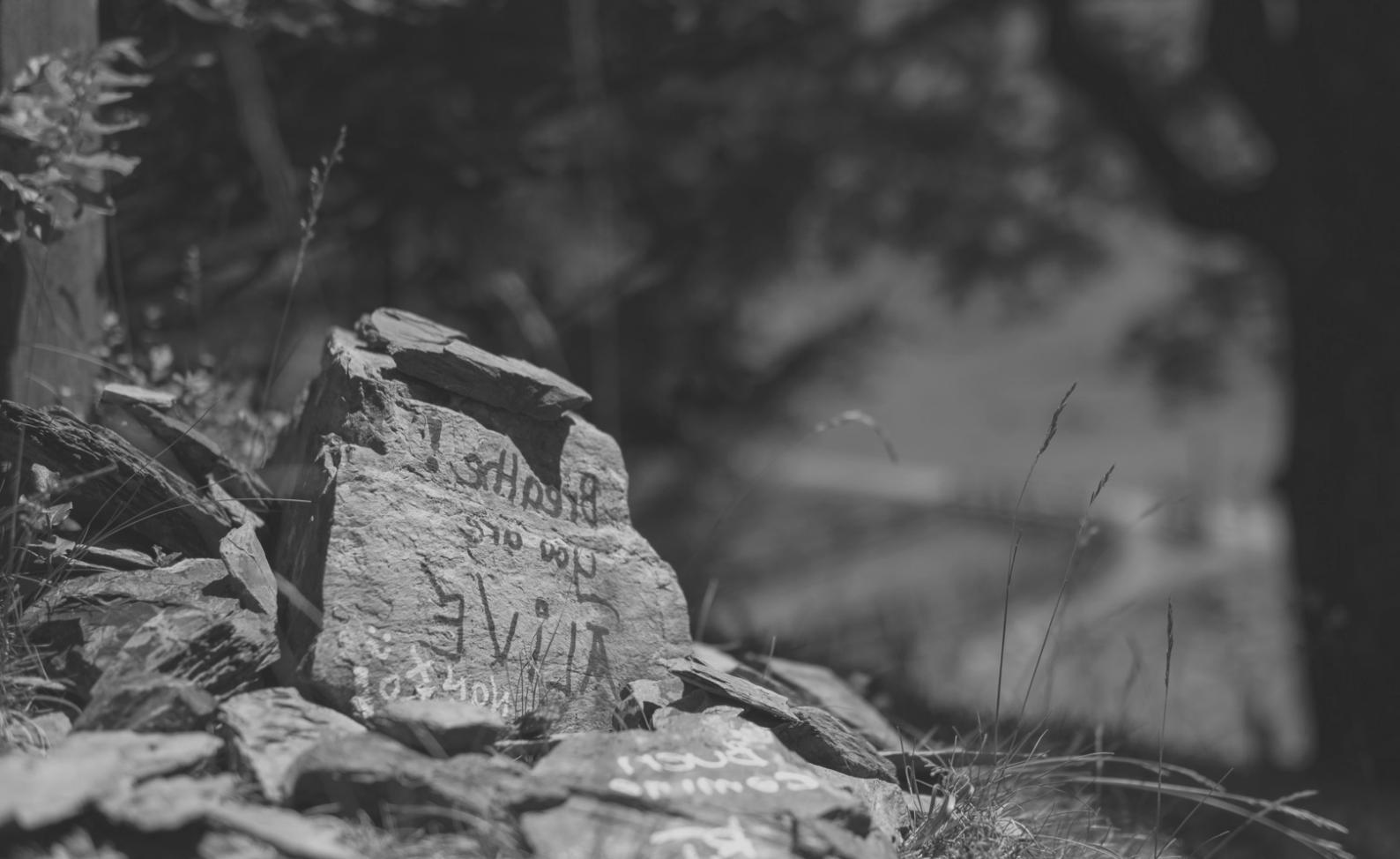 Reporter conducting field interview with community sources during investigative work